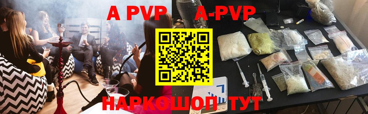 APVP СК Новошахтинск