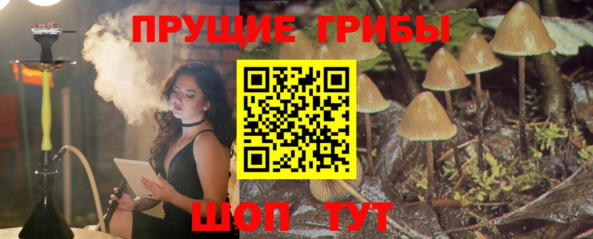 Псилоцибиновые грибы прущие грибы  Галлюциногенные грибы мухоморы  закладка  Новошахтинск  Вход с VPN 